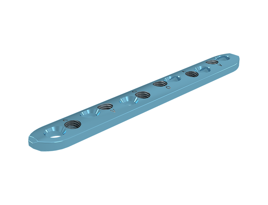 Placa Reta Bloqueada