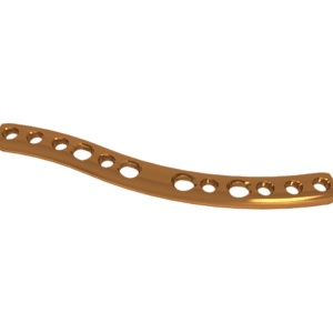 Placa Superior Medial de Clavícula Direita