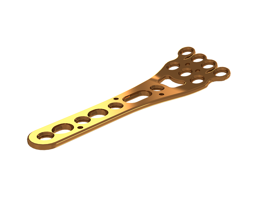 Placa Volar BF 23mm – Esquerda