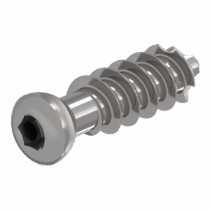 Parafuso Esponjoso Rosca Total 6,5mm