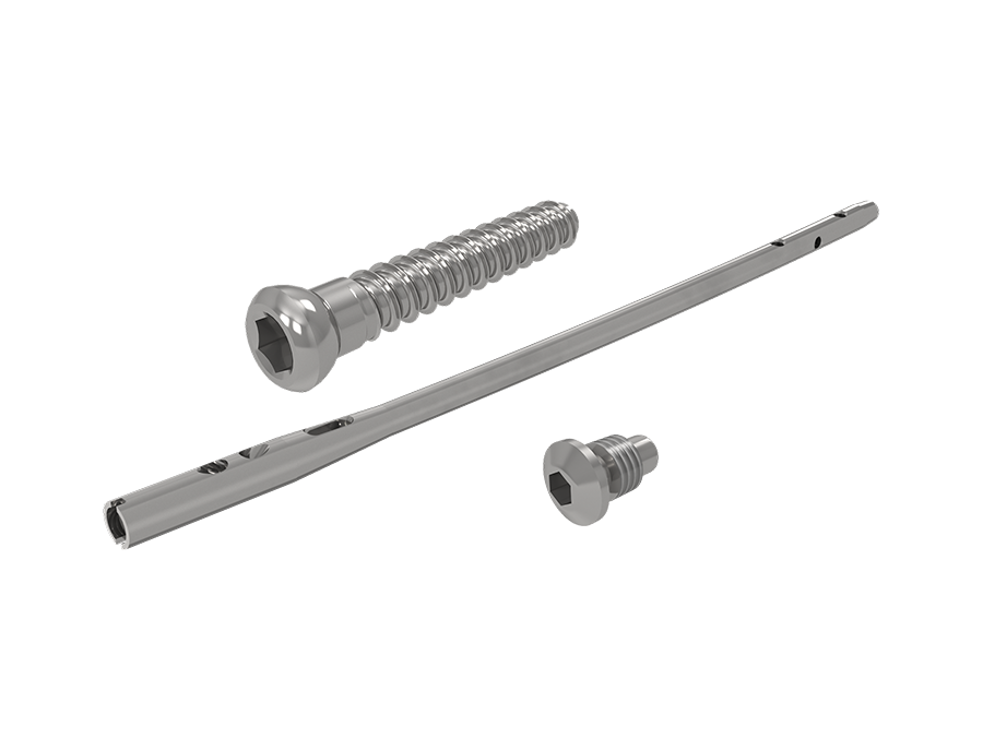 Haste Anterógrada Fêmur