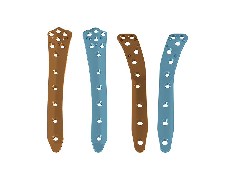 Minimamente Fêmur - Tíbia