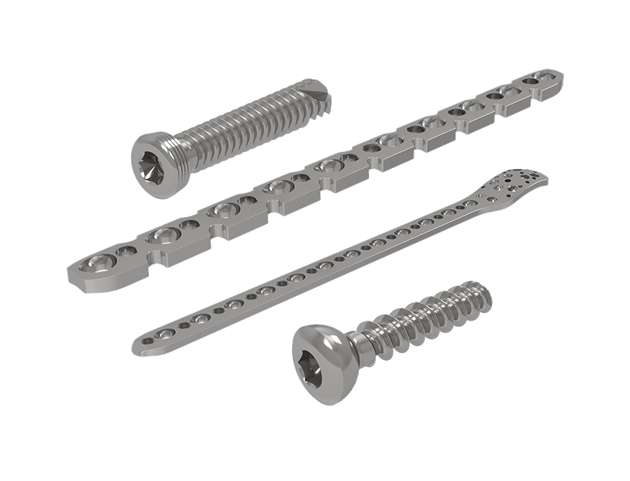 Pequenos Fragmentos PFI